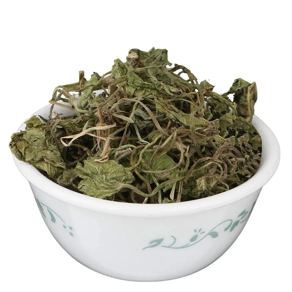 Brahmi Booti (Bacopa monnieri) used in Energyon
